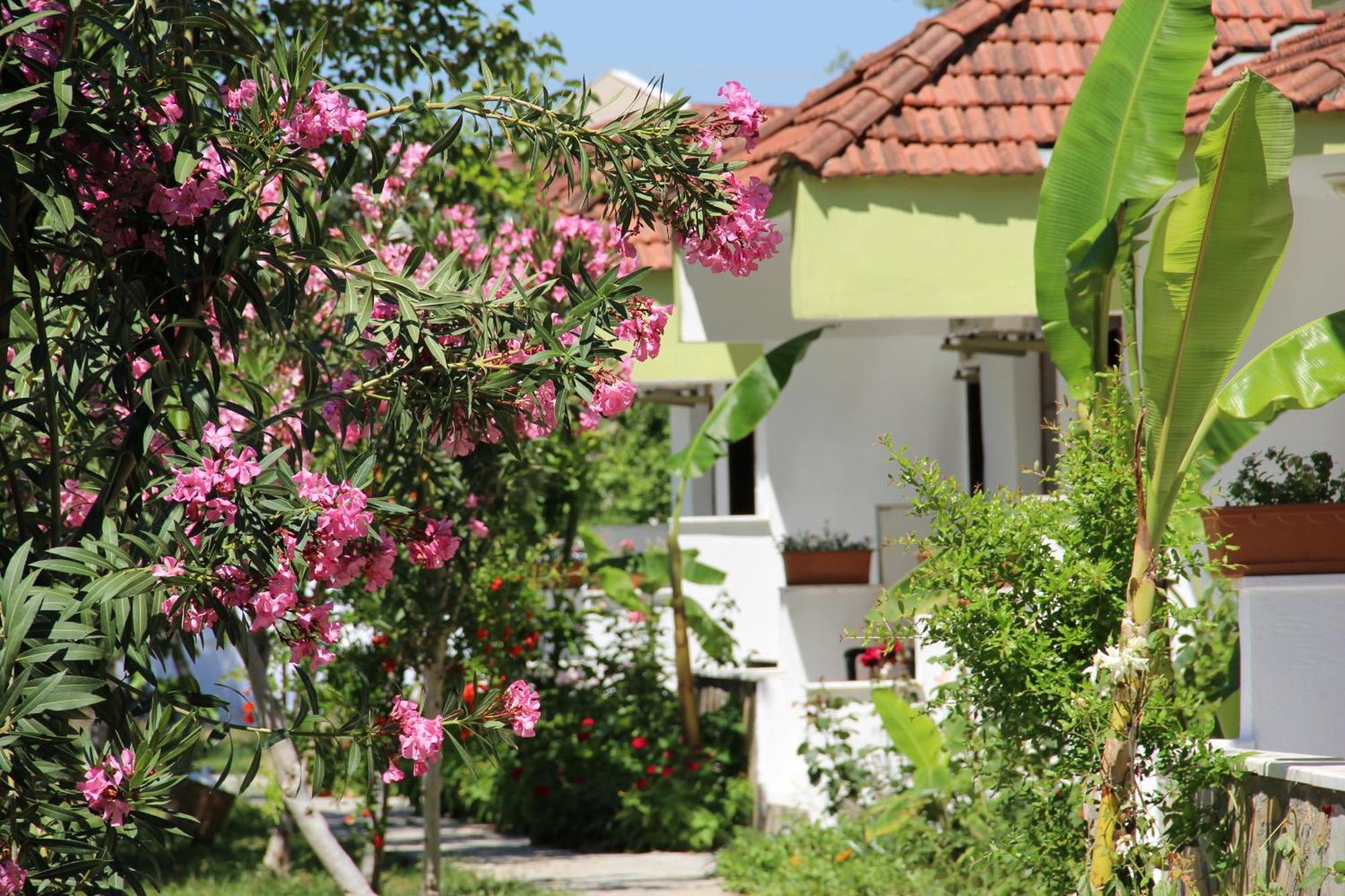 Hotel Riverside Dalyan Exteriör bild